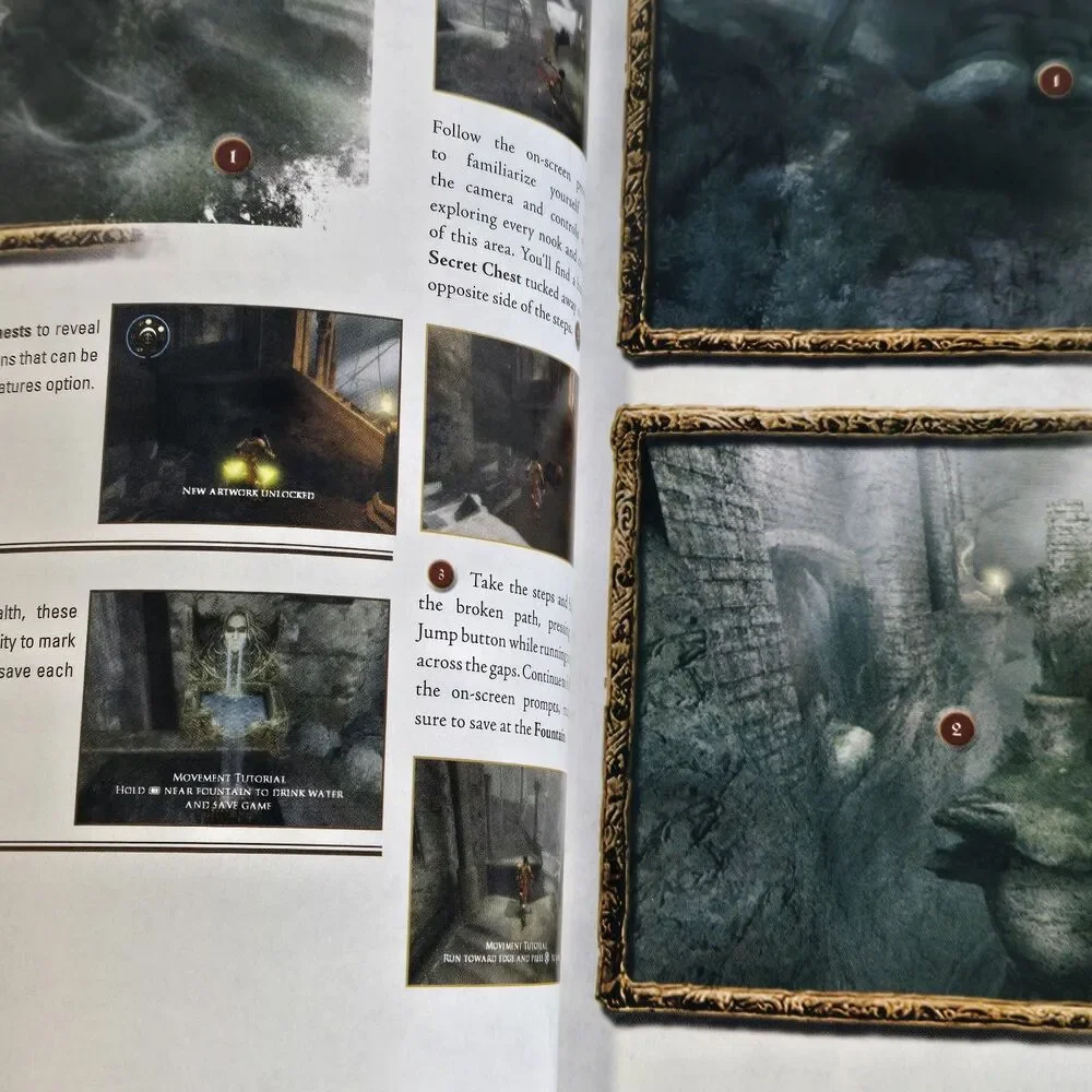 Prince of Persia: Warrior Within BradyGames Official Strategy Guide (w/ Poster)
